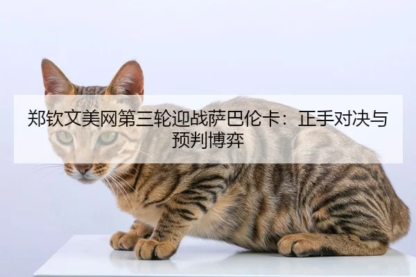 郑钦文美网第三轮迎战萨巴伦卡：正手对决与预判博弈