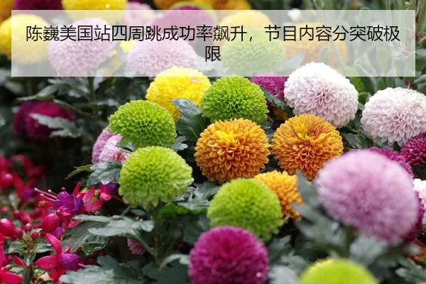chen-wei-mei-guo-zhan-si-zhou-tiao-cheng-gong-lv-biao-sheng-jie-mu-nei-rong-fen-tu-po-ji-xian-2-367.jpg