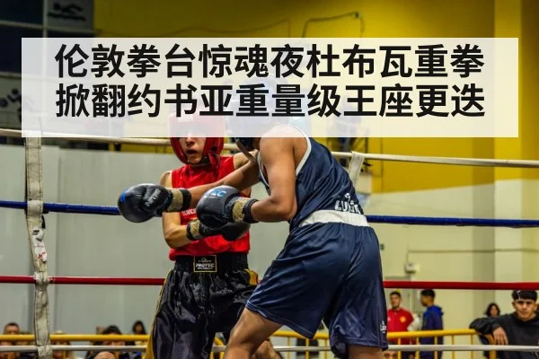 伦敦拳台惊魂夜杜布瓦重拳掀翻约书亚重量级王座更迭